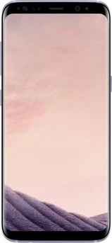 Samsung Galaxy S8 G950F Gray