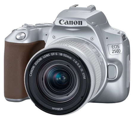 Canon EOS 250D with EF-S 18-55mm IS STM Silver