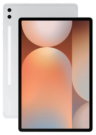 Samsung Galaxy Tab S10+ X820B Wifi 12.4 12GB RAM 256GB Silver
