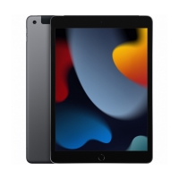 Apple iPad 10.2 9.Gen 2021 256GB WiFi Grey