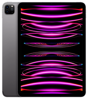 Apple iPad Pro 11.0 4.Gen 2TB WiFi Grey