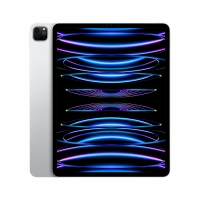 Apple iPad Pro 12.9 (2021) 2TB WiFi+Cellular Silver