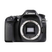 Canon EOS 80D Body