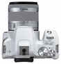Canon EOS 250D with EF-S 18-55mm IS STM White