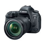 Canon EOS 6D Mark II with 24-105mm f/3.5-5.6 IS STM Lens