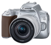 Canon EOS 250D with EF-S 18-55mm IS STM Silver